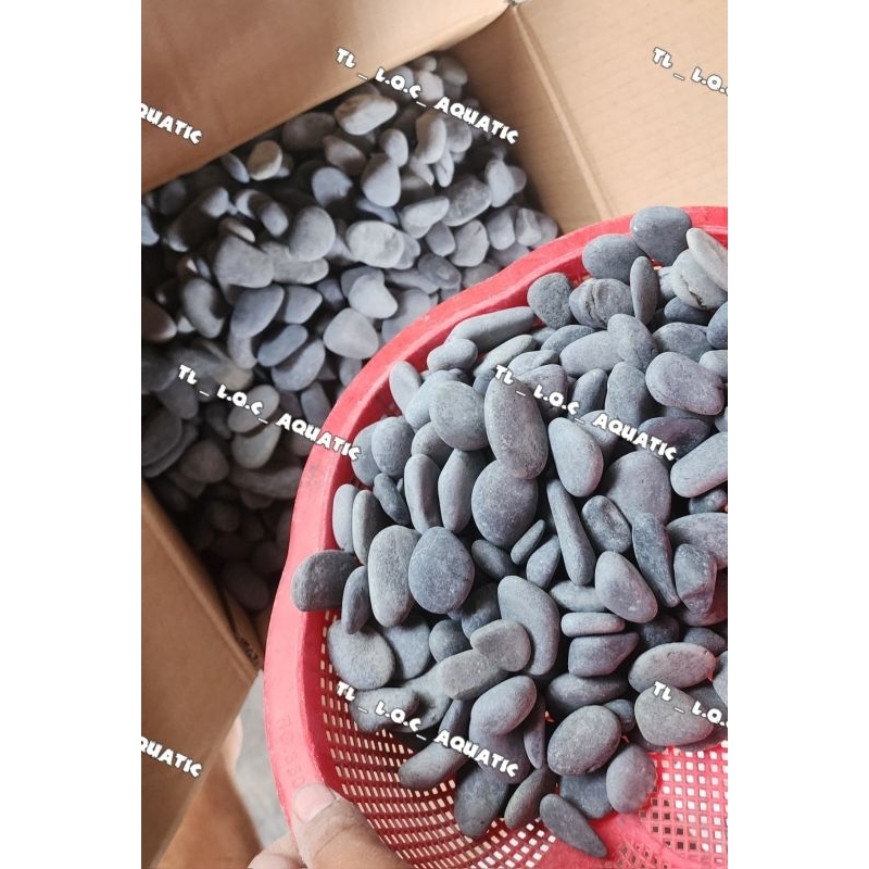 5Kg - หินดําทะเลธรรมชาติสําหรับถังปลา DECORATION, AQUARIUM DECORATION, GARDEN, DECOR...รูปร้านถ่ายเอ