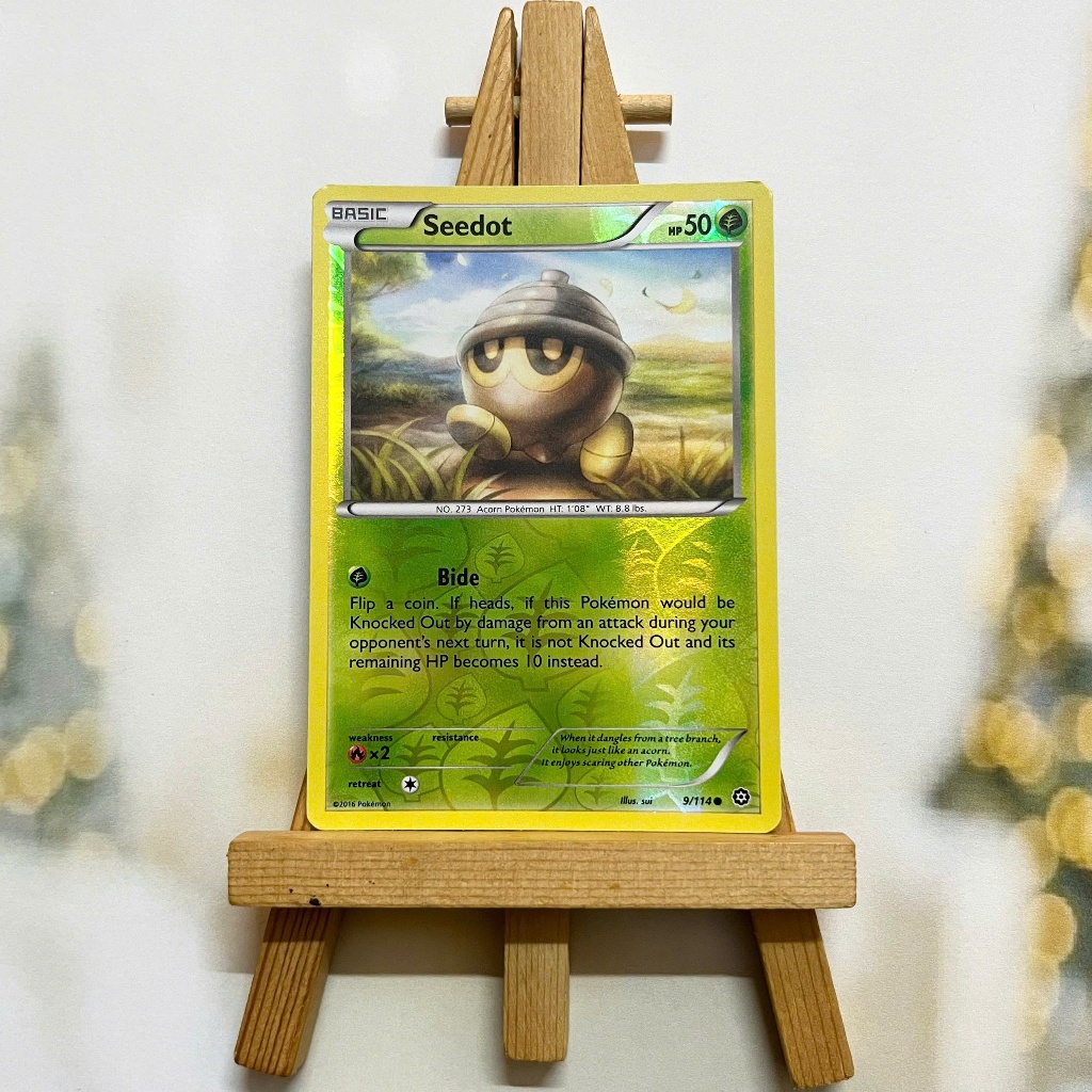 Pokemon Seedot 9/114 Picture Card - Odd Card XY Steam Siege Common Reverse Holo English