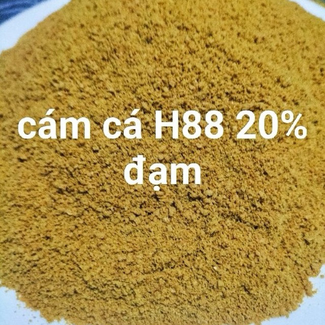 H88 รําปลา บดละเอียด โปรตีน 20% 500g