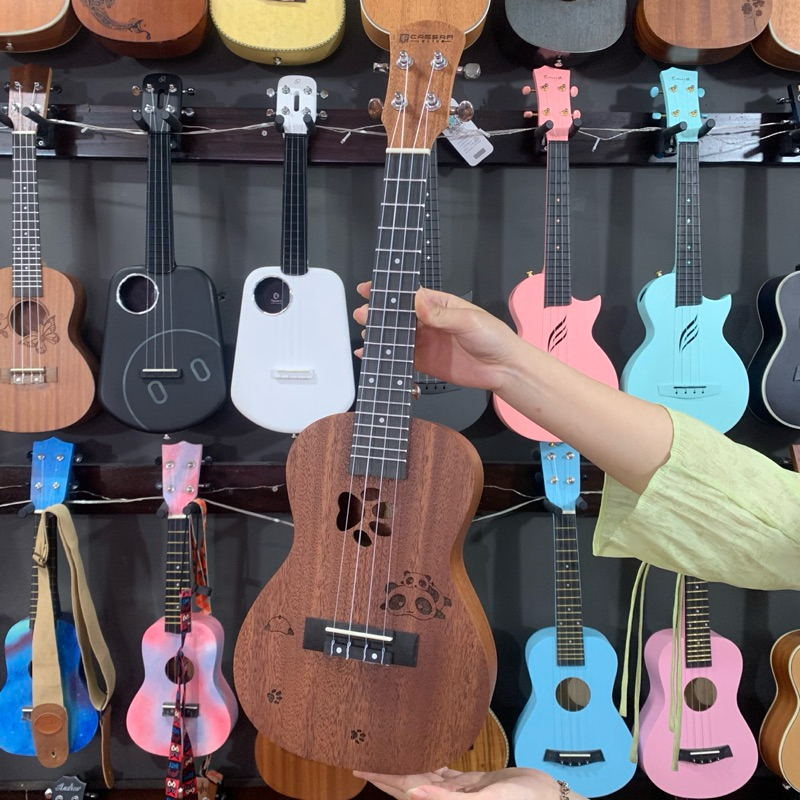 BEAR-FOOTESAR 23INCH UKULELE CONCERT