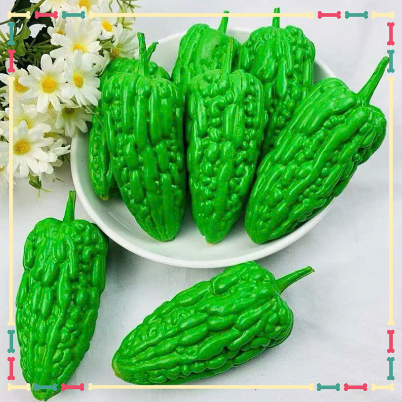 Bitter Melon (Bitter Melon) หน้าจอแสดงผลโมเดล