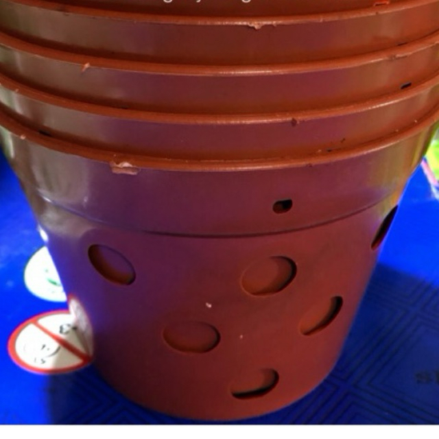 กระถางพลาสติกปลูกต้นไม้ 5 ใบ (145x100มม.)