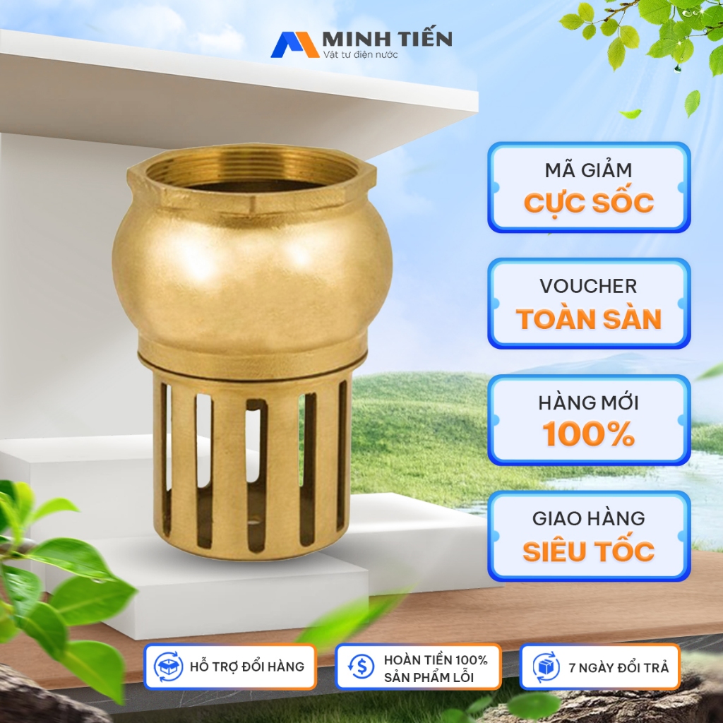 ตะกร้าปั๊มทองเหลือง DN50-DN100