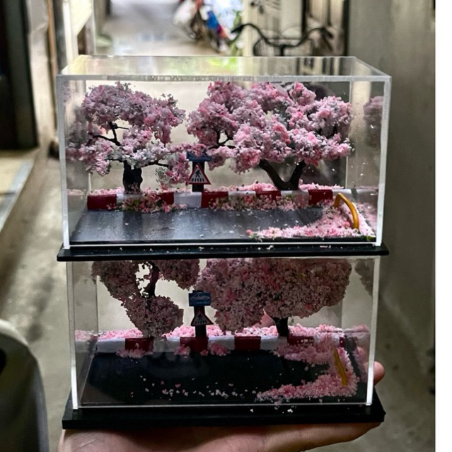 Cherry diorama - ขนาด 12 x 7 x 8 สเกล 1:64 - พร้อมกล่องไมก้า