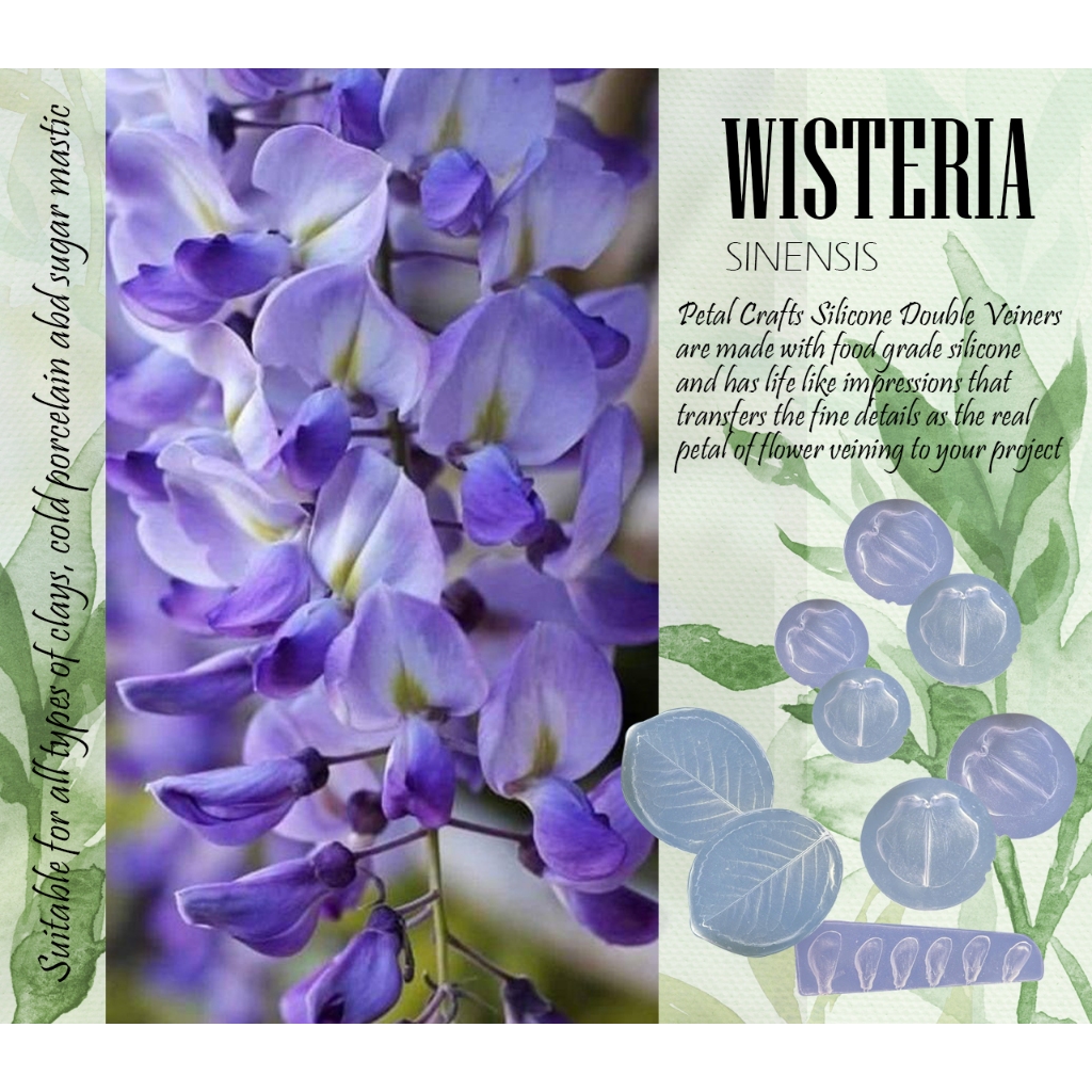 WISTERIA WISTERIA แม่พิมพ์หลอดเลือดดําสองด้านซิลิโคนบริสุทธิ์, ไม่มีน้ํามันเทดอกไม้น้ําตาลดอกไม้ fon
