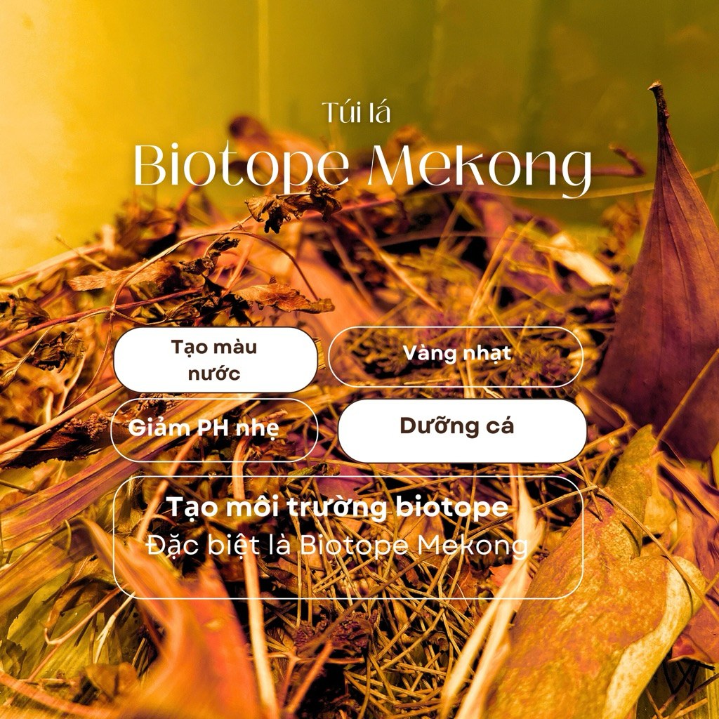 ชุดใบ BIOTOPE MEKONG RIVER