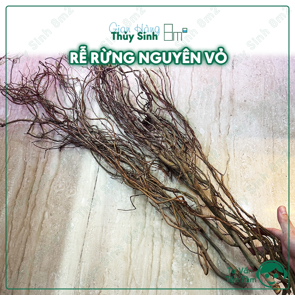 รากป่าทั้งต้น | รากป่ายืดหยุ่นสําหรับตกแต่งพิพิธภัณฑ์สัตว์น้ํากึ่งภูมิประเทศสัตว์เลื้อยคลาน | 8ม2