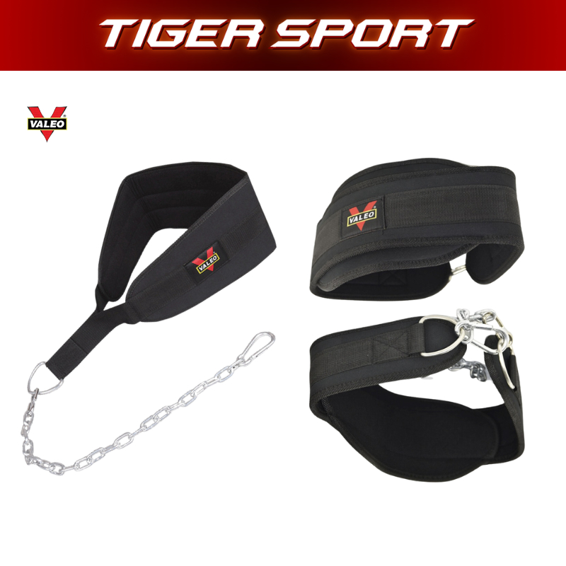 Dip Belt DATX Dumbbell Chain Hook MATX Dumbbell Chain สําหรับ Pull-Up Bars, Double Bars, Squats