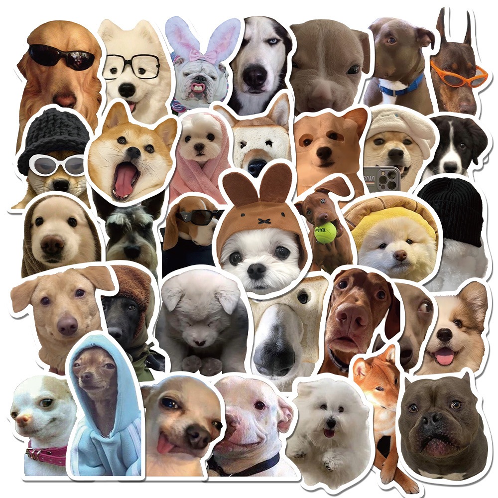 Funny meme Dog Sticker - ไม่ซ้ําใคร เท่สุดๆ น่ารักสุดๆ