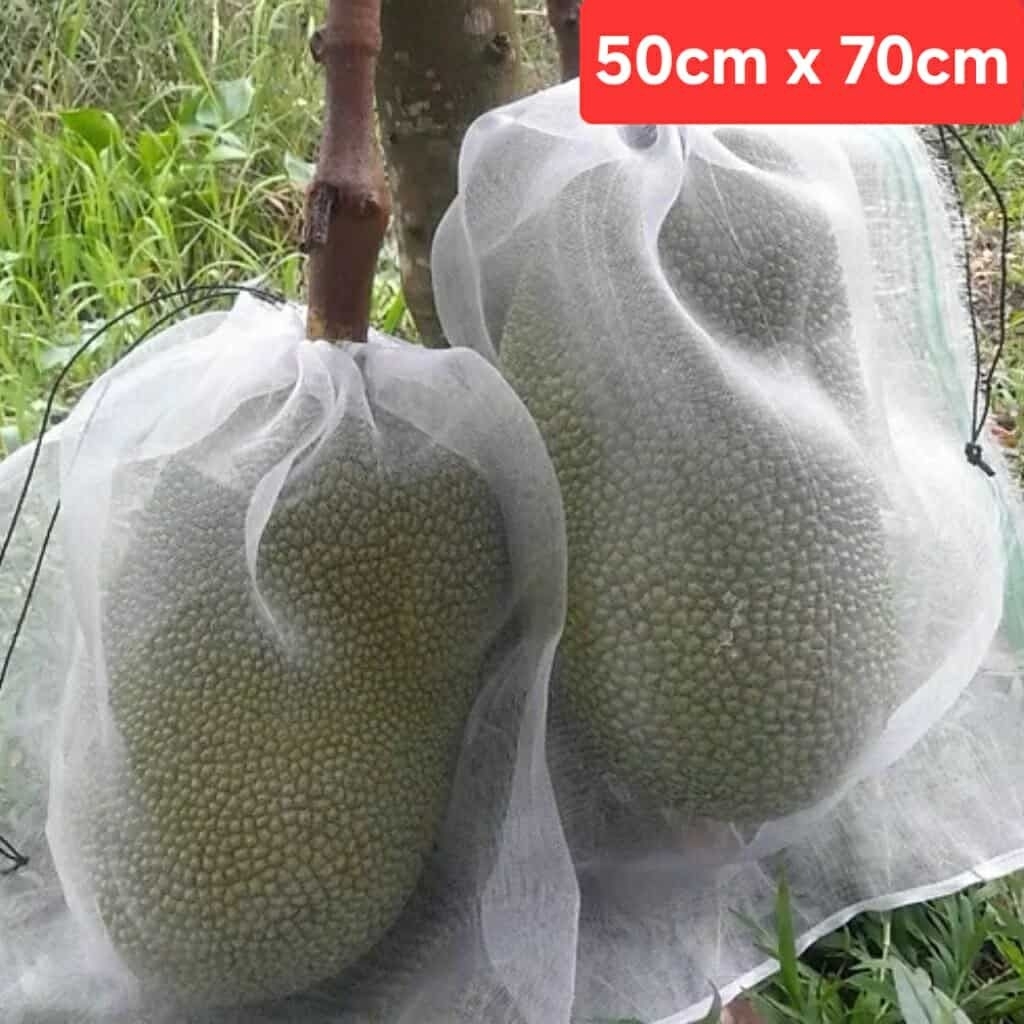 คอมโบถุงขนุน 10 ใบ (50ซม. x 70ซม.) พร้อมเชือกรูด-ความทนทานสูง
