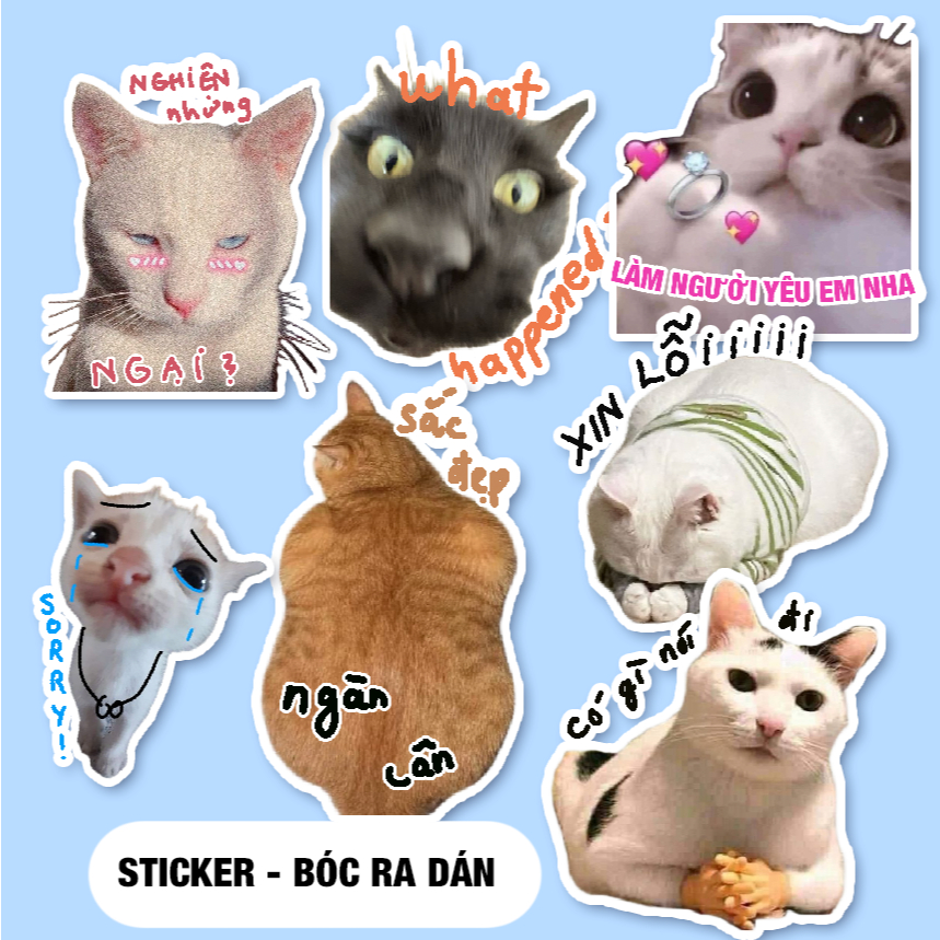 ชุดสติ๊กเกอร์ Meme ตลก 50/100 ชิ้น แมวน่ารัก | สติ๊กเกอร์ meme ตลกแมว