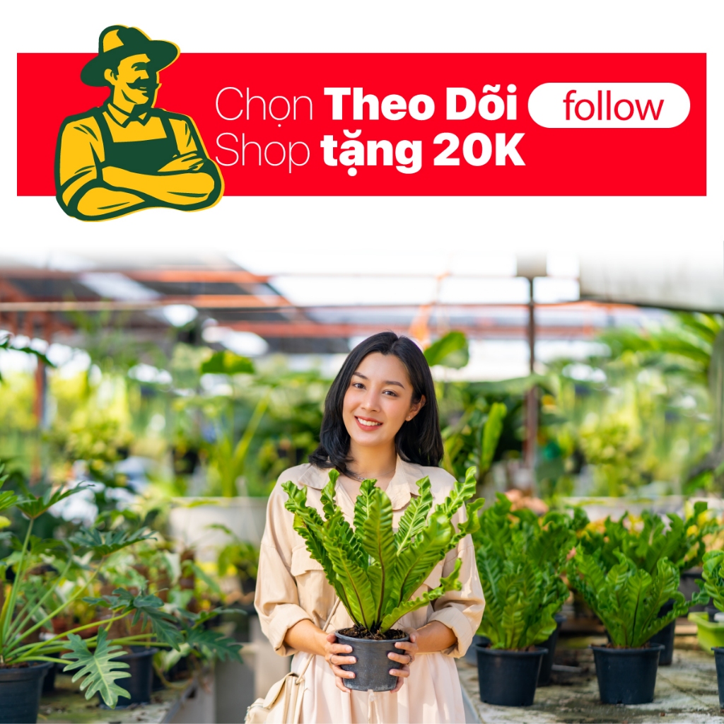 V6 Nursery Pot รวม V6 Nursery Pot + G7 BASE (Diameter 40cm x สูง 20cm) - คอมโบพร้อมสกรู