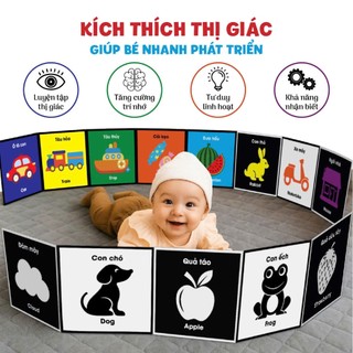 Bộ Thẻ Kích Thích Thị Giác Giúp Bé Phát triển TOÀN DIỆN cho trẻ từ 1 tháng tuổi [Chuẩn Phương Pháp Montessori]