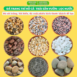 Đá Sỏi Trang Trí 1kg - Cho Bể Cá, Chậu Cây, Cuội Trải Sân Vườn, Sỏi Biển, Sỏi Trắng, Lọc Nước