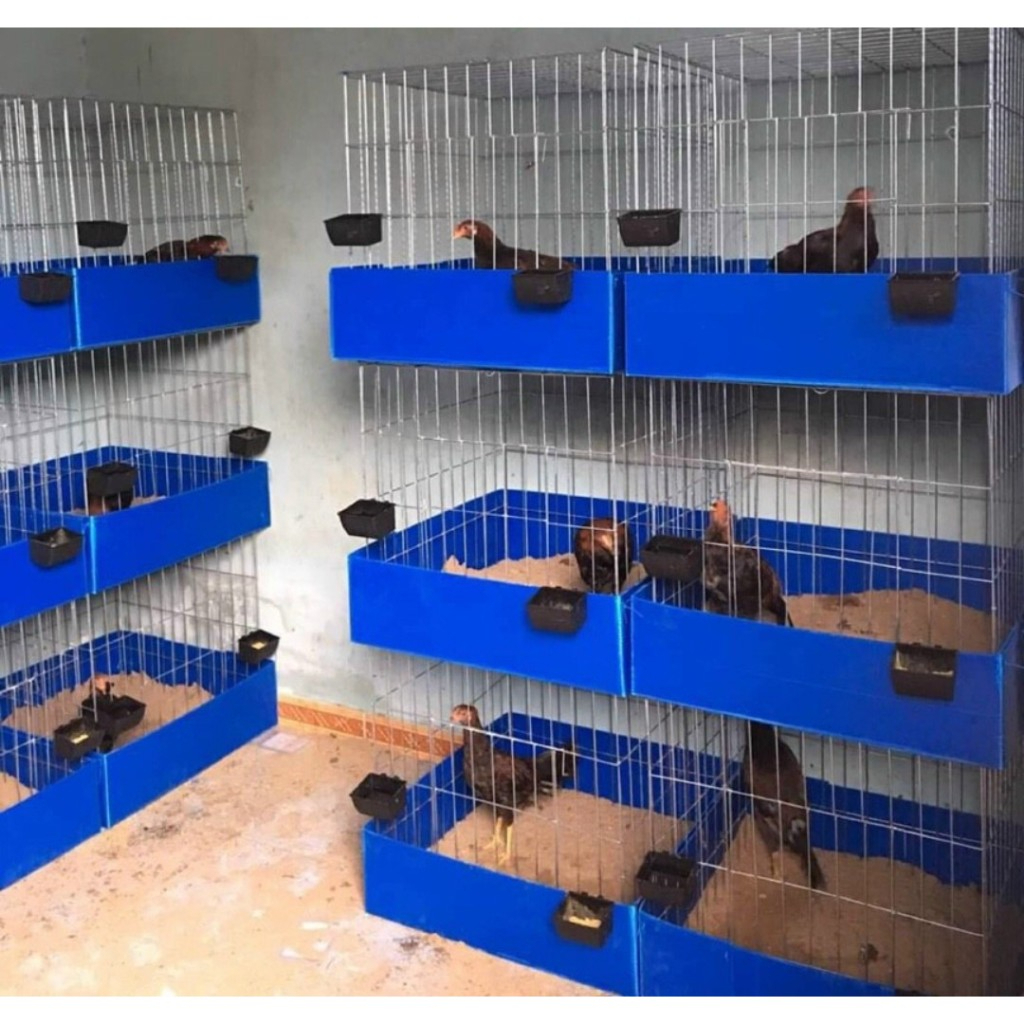 กรง 60v [60x60x60] กรงสัตว์เลี้ยง Pet Furniture กรงสแลทแน่น กรงสังกะสี กรงสังกะสี กรงไก่ กรง