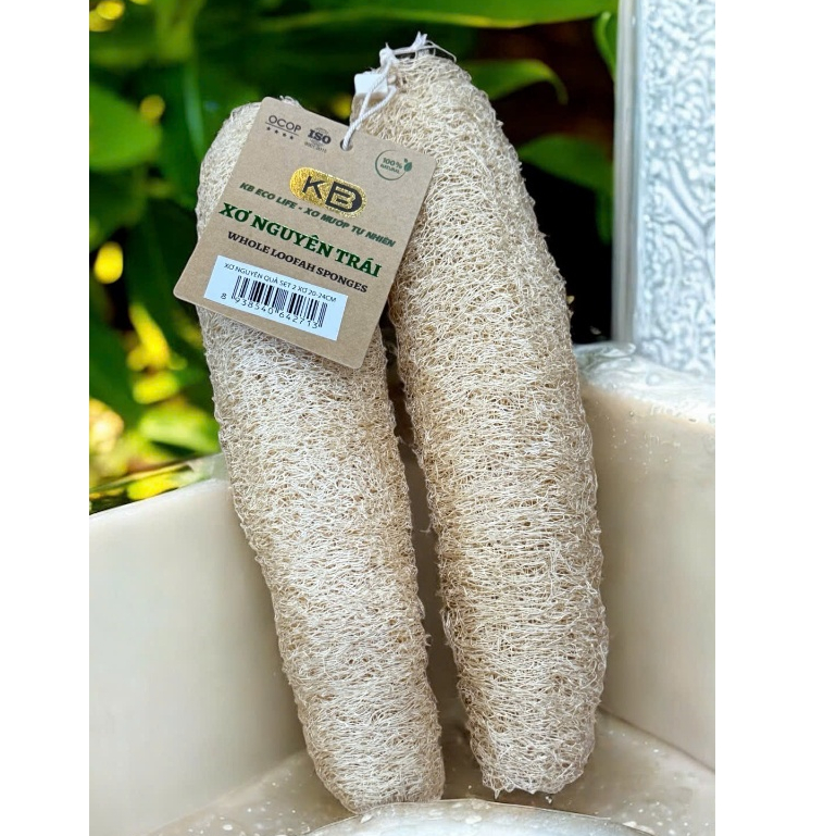 KB Set 2 Benign Loofahs - ขนาด 20 ถึง 24 ซม.