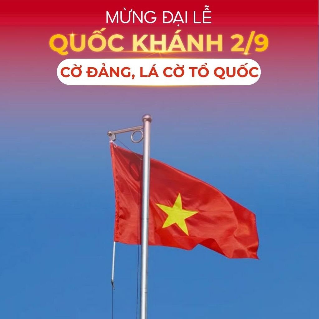 PARTY FLAG, NATIONAL FLAG, VIETAM FLAG