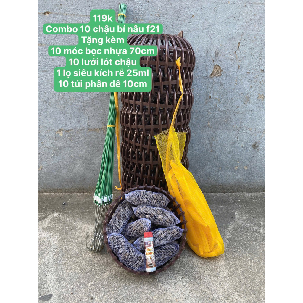 คอมโบ10ใบ ฉ21หม้อฟักทองสีน้ําตาลพร้อมตะขอพลาสติก70ซม10ใบ+ซับ10ใบ+ขวดกระตุ้นราก20มล1ขวด+ถุงปุ๋ยคอกแพะ10ซม
