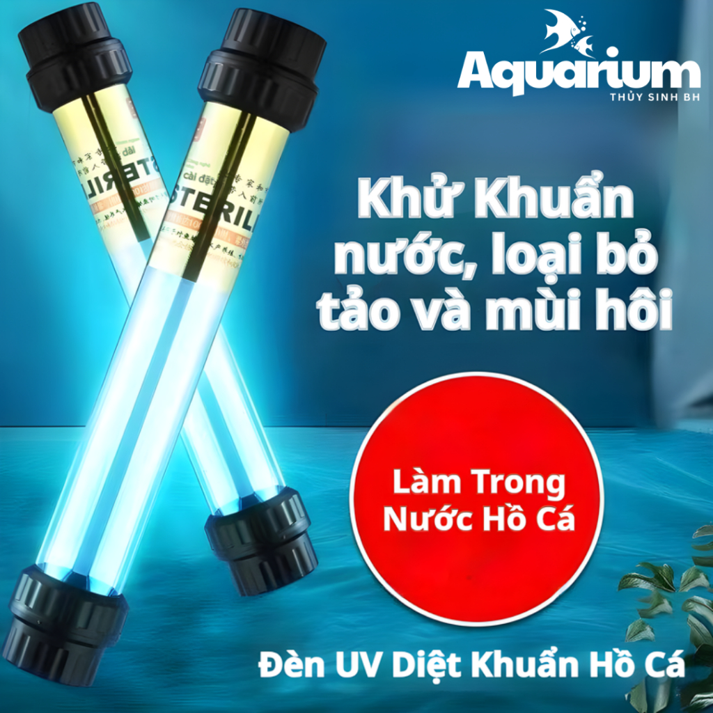 โคมไฟ King UV สําหรับฆ่าเชื้อบ่อ Koi และพิพิธภัณฑ์สัตว์น้ํา 20W, 30W, 40W, 60W, 100W – ขจัดน้ําสีเขี