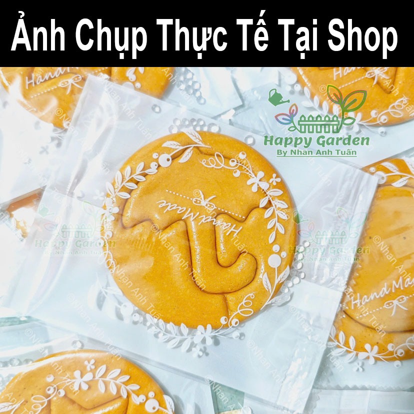 เกม Dalgona Squid Sugar Candy (เกมแยกลูกอม)