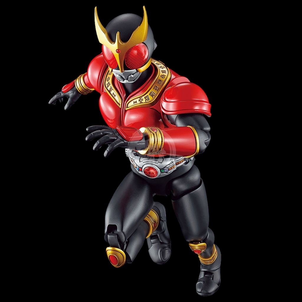 FRS KAMEN RIDER KUUGA