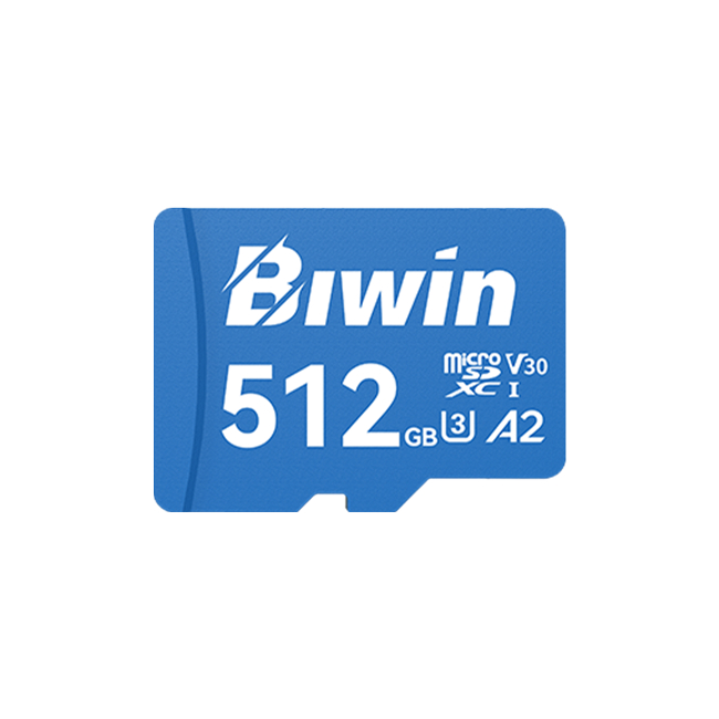 การ์ดหน่วยความจํา Biwin MS210 microSD UHS-I V30
