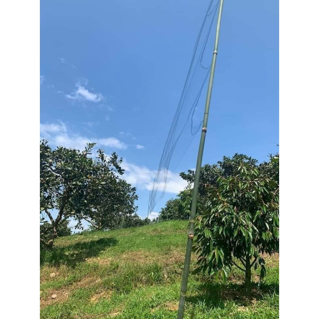 1 ตาข่ายนกล่องหนไทยราคาถูก (20m-30m-60m) สูง 6m 7m 5 สาย 4 ถุงสําเร็จรูปทุกขนาด