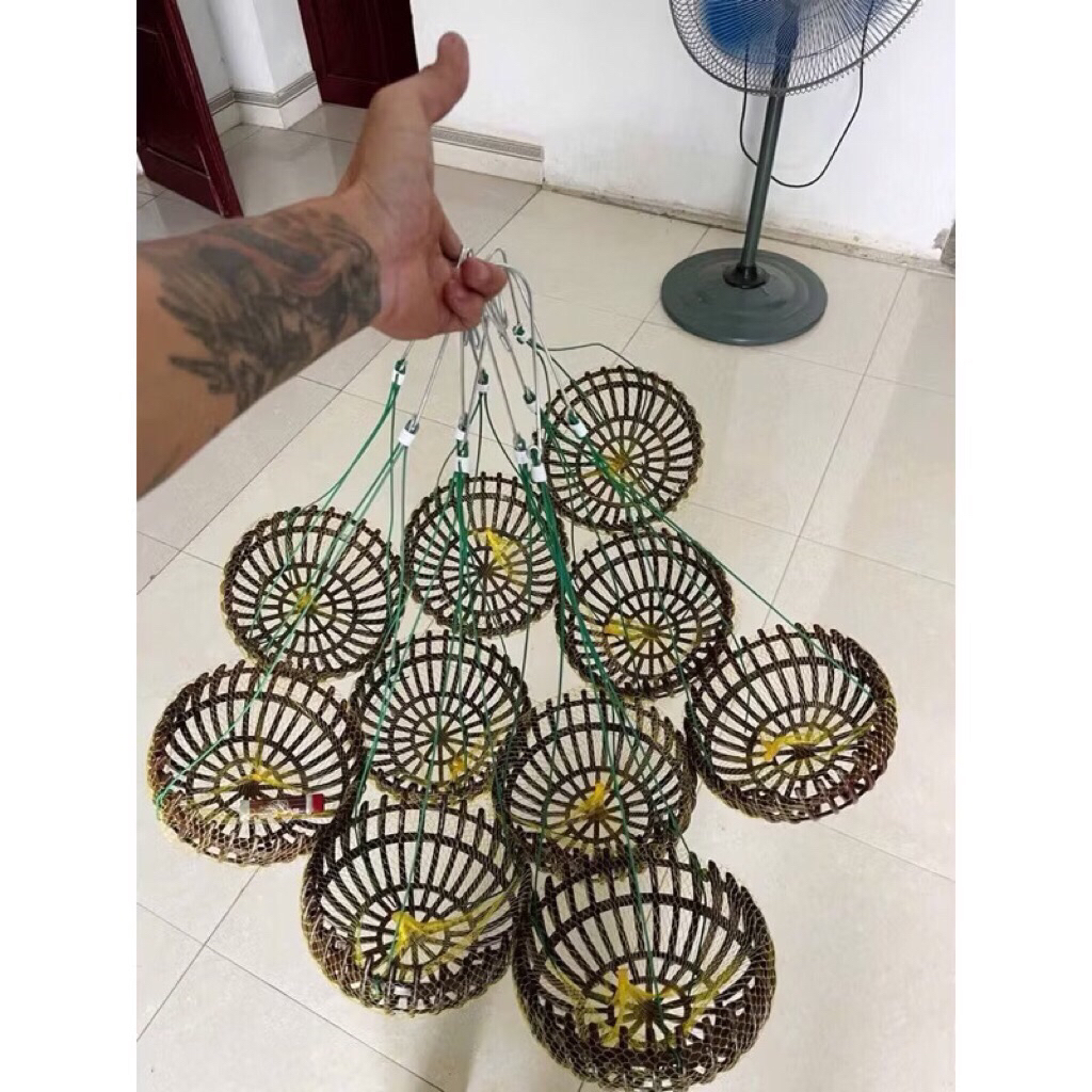 ฟักทอง 13 ตัว ฉ21-13 ตะขอ 70-13 บุตาข่าย - ปุ๋ยคอกแพะ 1 ถุง