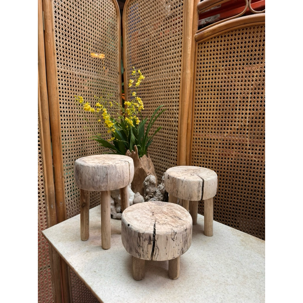 DF02 - [DEFECTIVE PRODUCTS] - ฐานไม้จิ๋ว [ไม่มีRETURNS]