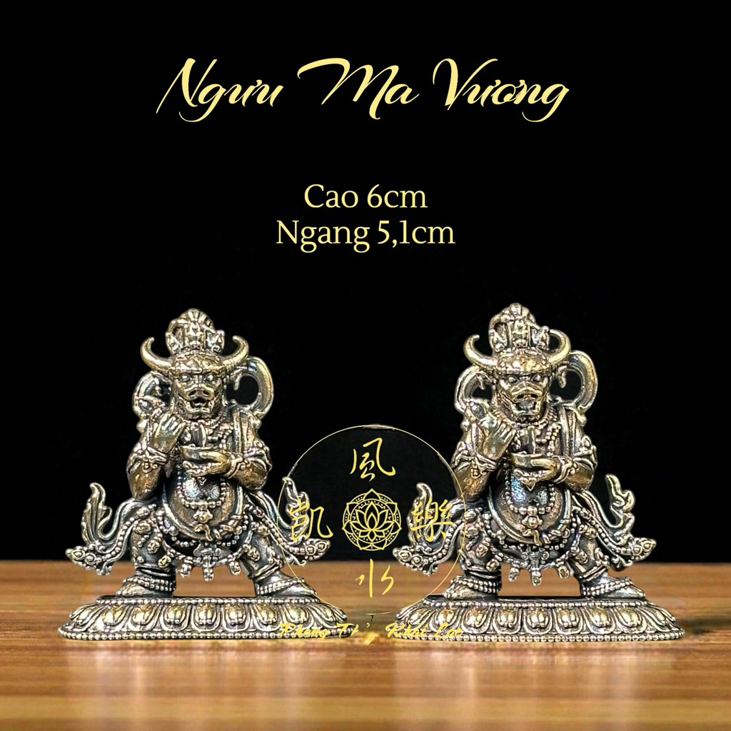 TAU MA VUONG – ICON OF INvolvulus & PROSECTION