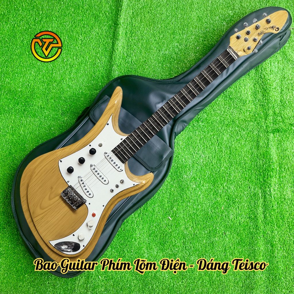 เคสกีตาร์เว้าไฟฟ้า Tesco