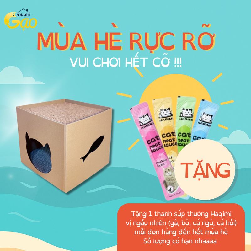 Carton House โต๊ะลับเล็บแมว 2 ชั้น 30x30x30 เหมาะสําหรับแมวเด็กและผู้ใหญ่ขนาดเล็ก