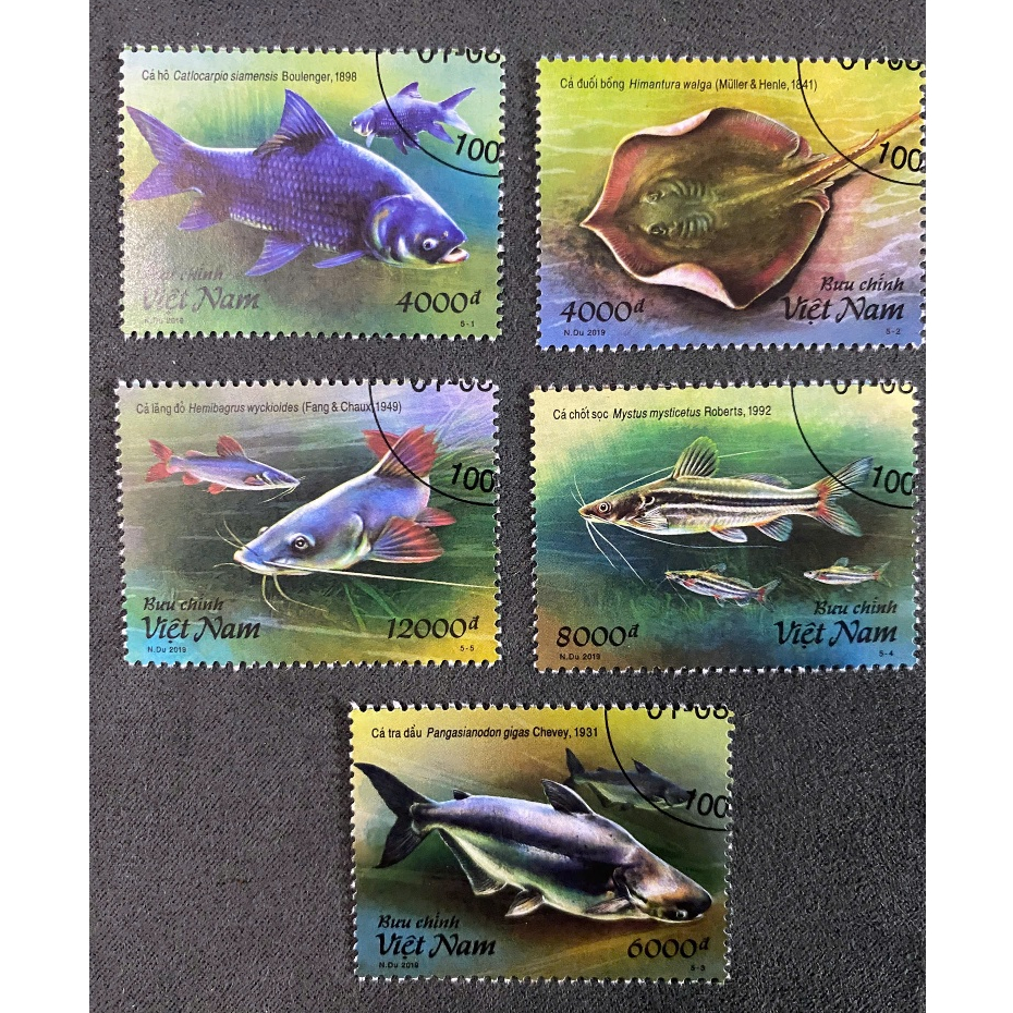 [LENHA] - MAIN STAMP - CTO DEATH STAMP - ปลาแม่น้ําเมคอง