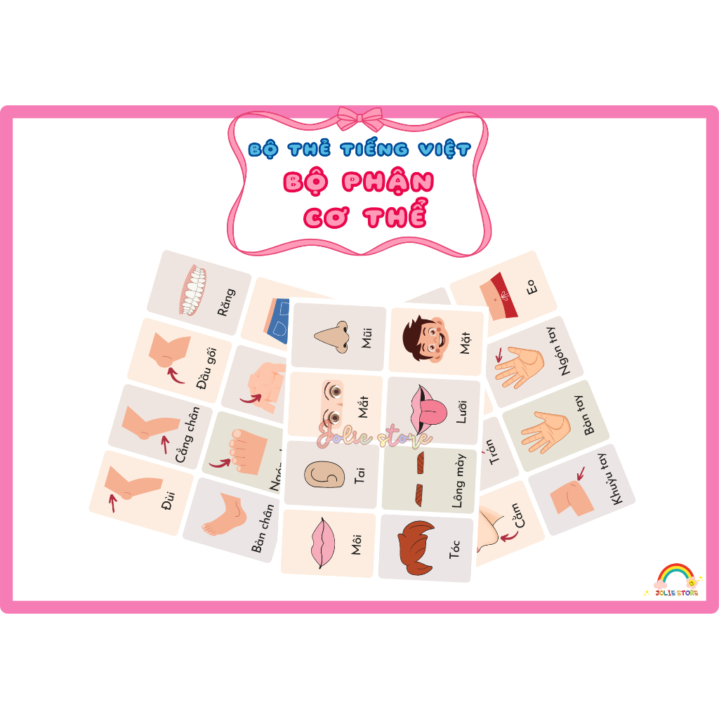 SET OF 24 CARDS OF VIETAMES BODY SETS - การ์ดมอนเตสซอรี่ - การ์ดเรียนรู้อัจฉริยะ - วัสดุการเรียนรู้ส