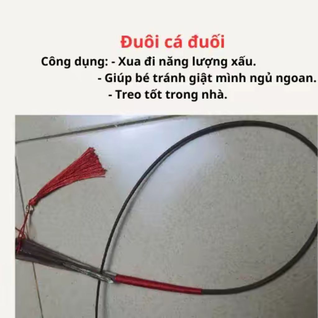 หางปลากระเบนแต่ง HCM PT (Sz 55-65cm)