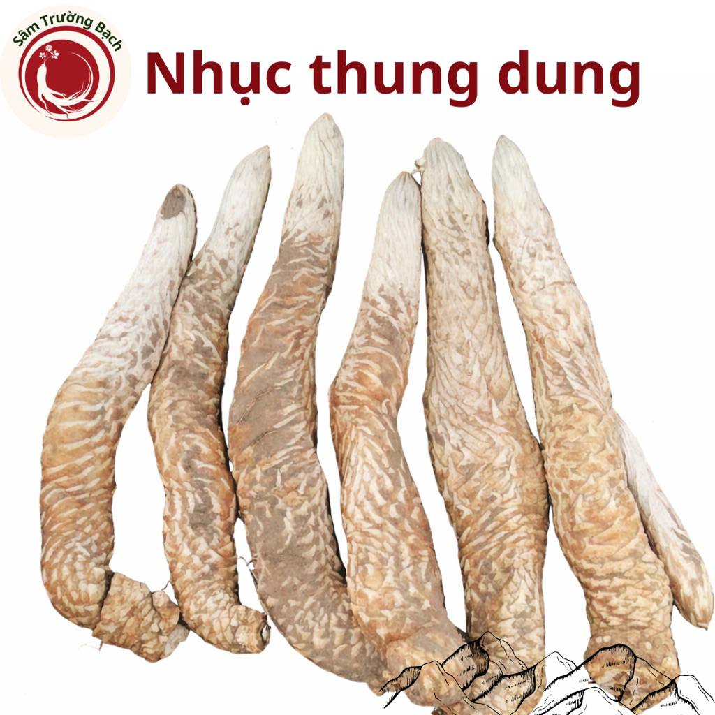 SA Desert Dung Dung - Fresh Dung Dung Dung