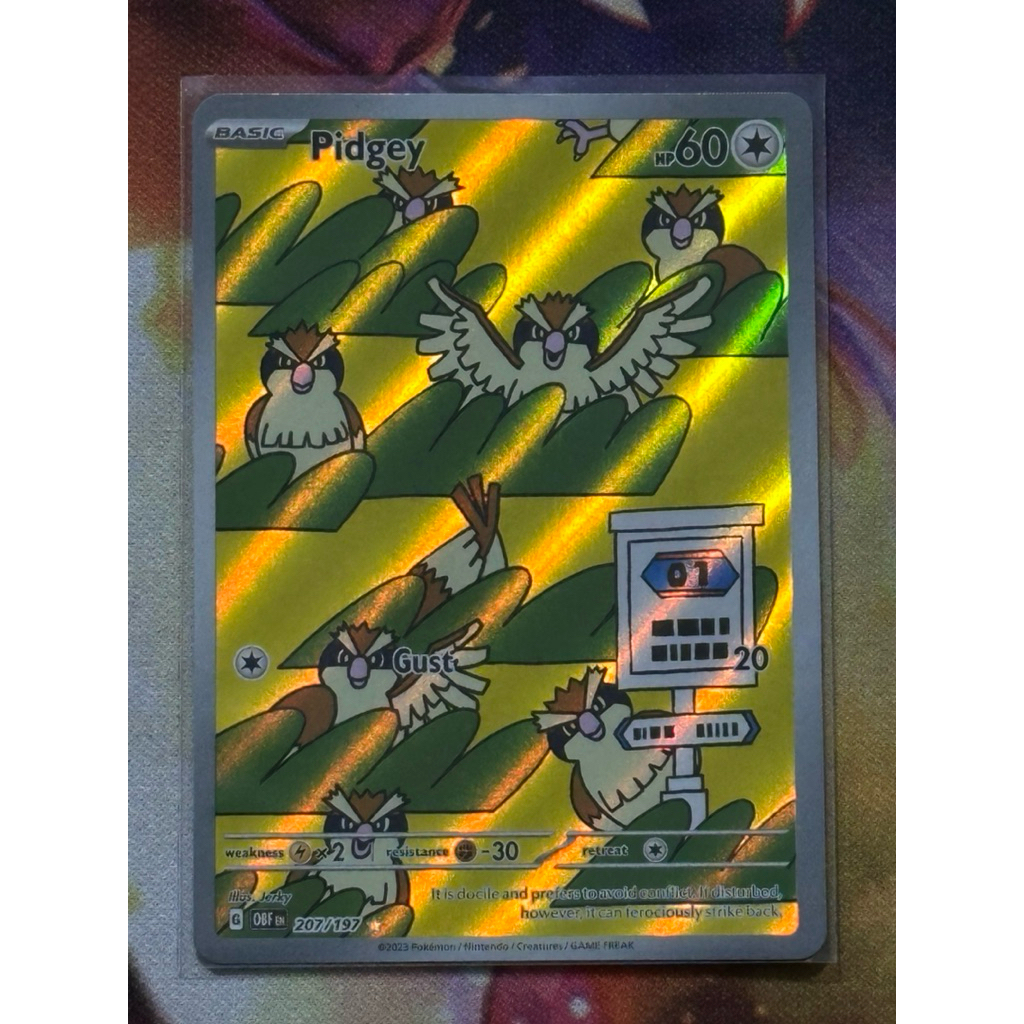 การ์ดภาษาอังกฤษ - Pokemon Pidgey 207/197