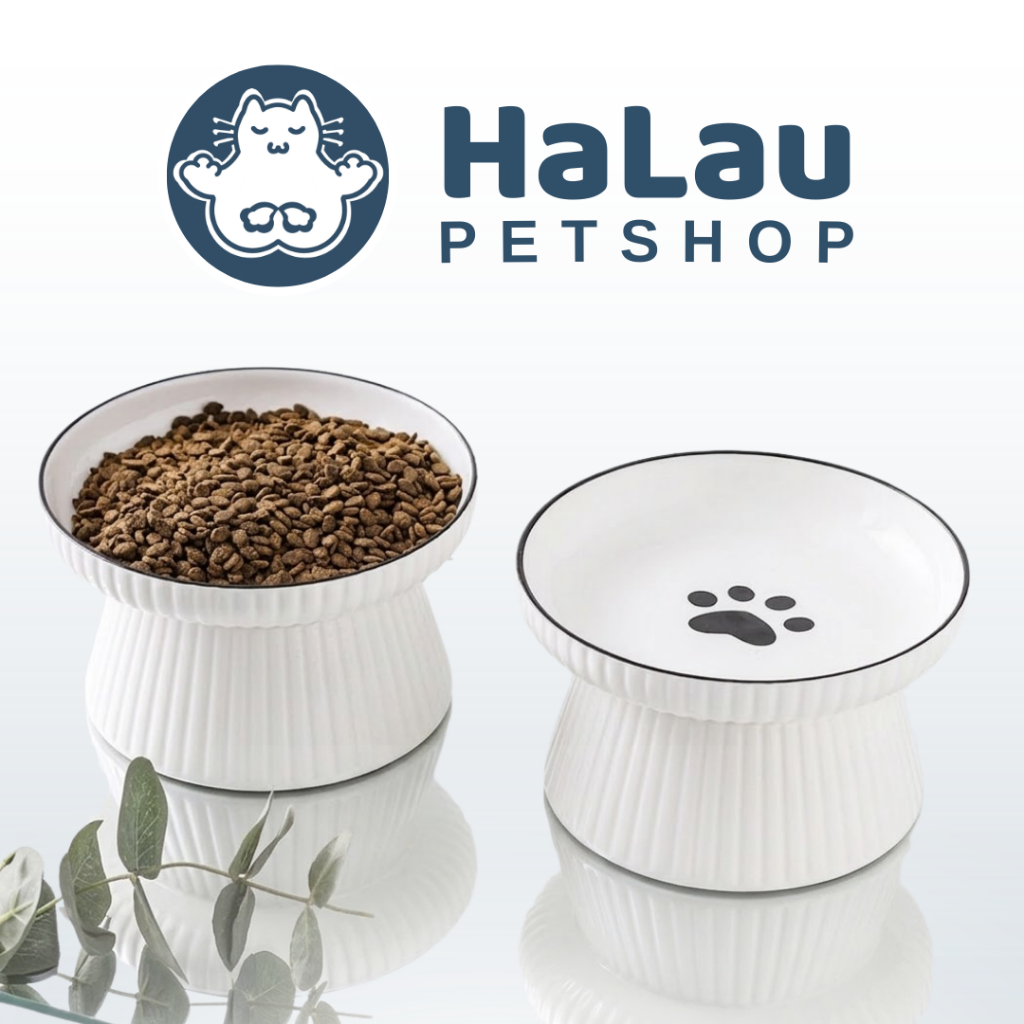 ชามแมว ชามกันน็อค ทําจากเซรามิกเคลือบคุณภาพสูง เหมาะสําหรับทุกมื้อ HaLau Petshop OD413