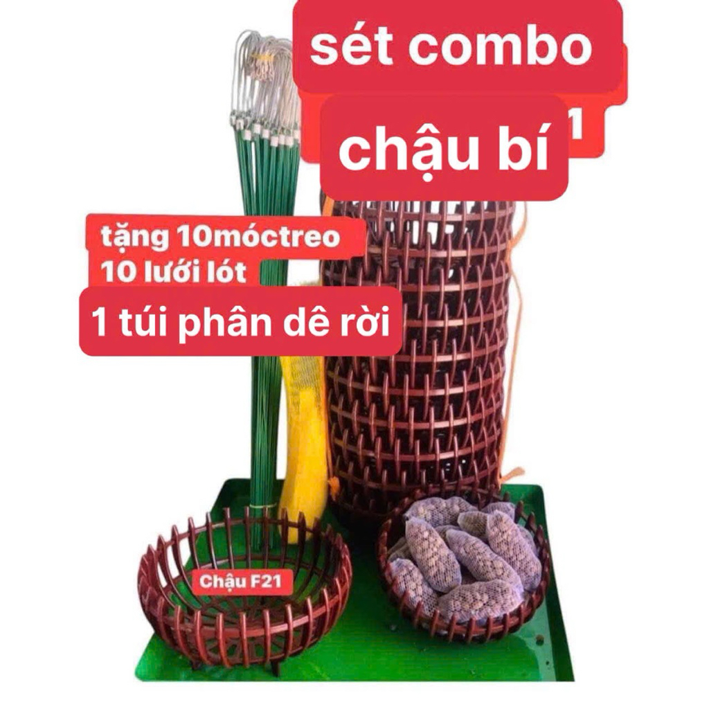 ฟักทอง 10 กระถาง ฉ21-10 ตะขอ 70ซม - 10 ซับหม้อ - ปุ๋ยคอกแพะ 1 ถุง สําหรับปุ๋ยราก