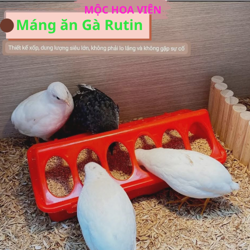 Rutin เครื่องป้อนไก่ Chick Feeder เครื่องป้อนนกกระทา เครื่องป้อนไก่ เครื่องป้อนไก่ Rutin เครื่องป้อน