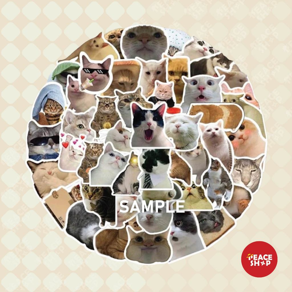 สติ๊กเกอร์ Meme Cat Sticker Cat Meme Glitter ลามิเนต ST23