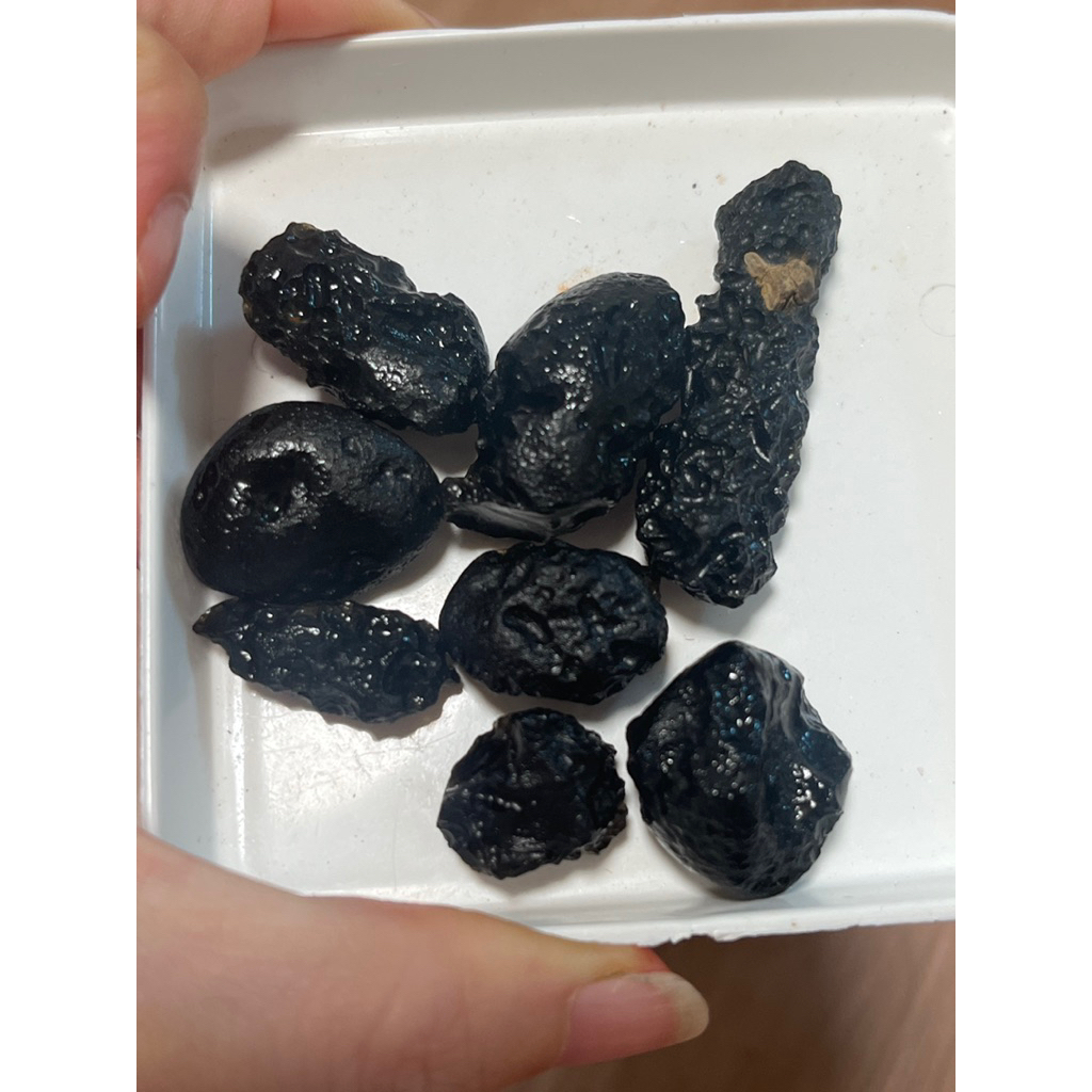 หิน Tektite ธรรมชาติที่เรียกว่าหิน Dugite Daisy Gem