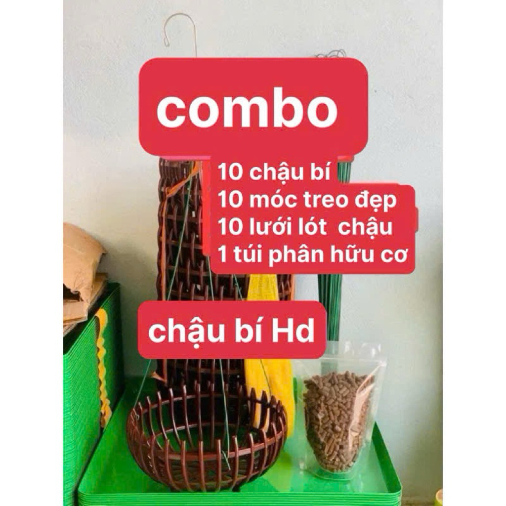 Combo 10 hd กระถางพลาสติกฟักทอง F25-10 moc 70-10 ซับหม้อ - ปุ๋ยดั้งเดิม 1 ถุง