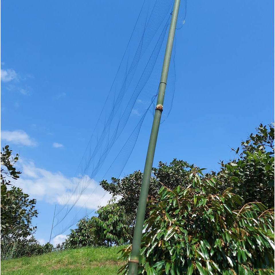 Cheap Thai Stealth Bird Net (20m - 30m - 50m - 60m) เน็ตสําเร็จรูป Just Take Away the Trap...
