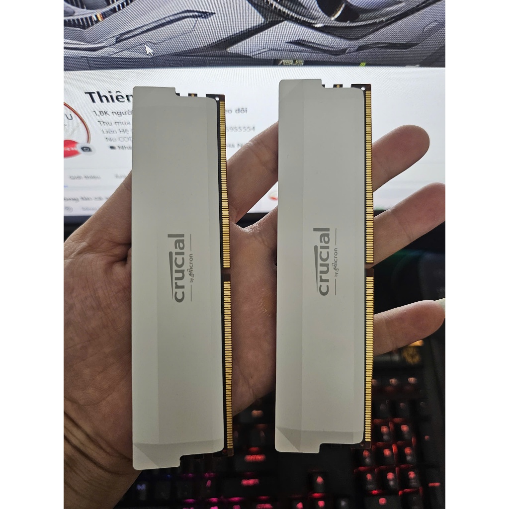 PC Ram DDR5 32GB 16G 8GB Bus 4800 5600 6000 6400 7200 - 1 ปี