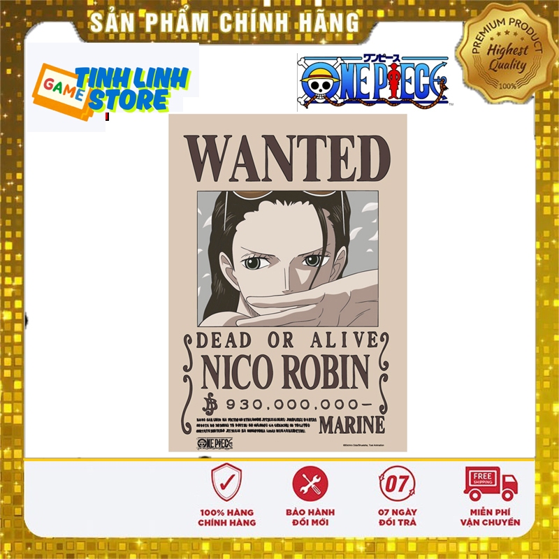 โปสเตอร์ Wanted Nico Robin A3 - โจรสลัดหมวกฟาง โบราณคดี Command 930M Belly