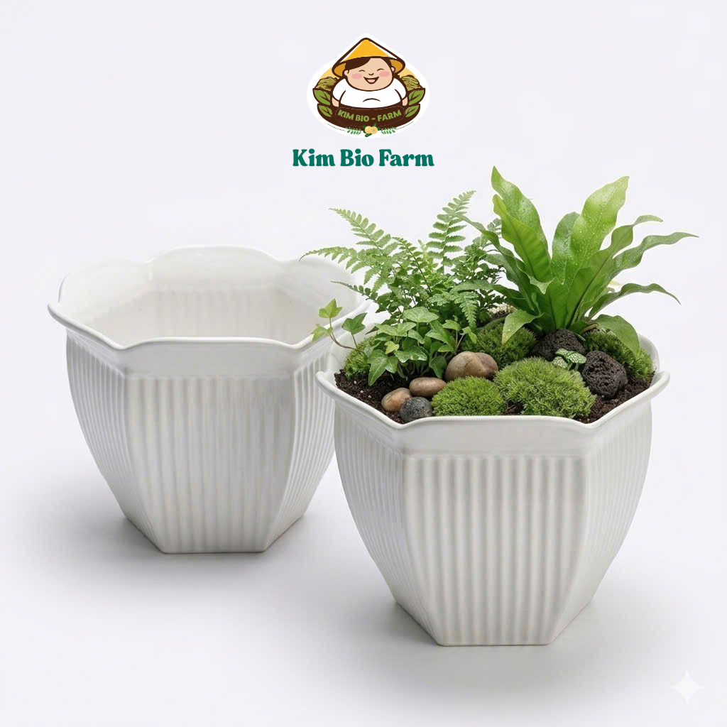Kimbiofarm 2 Inch 6 (31cm) กระถางต้นไม้แบบเกลียว
