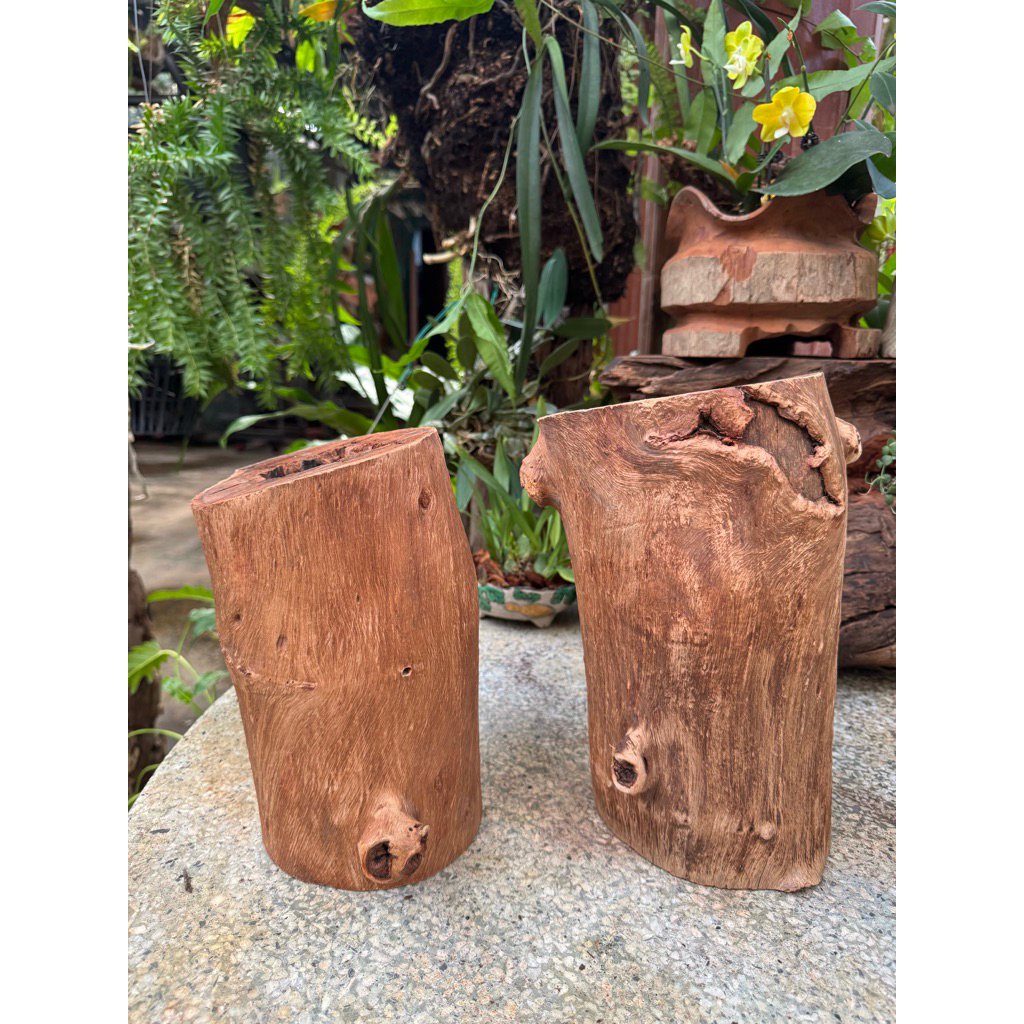 WS23 - เสาไม้ Driftwood