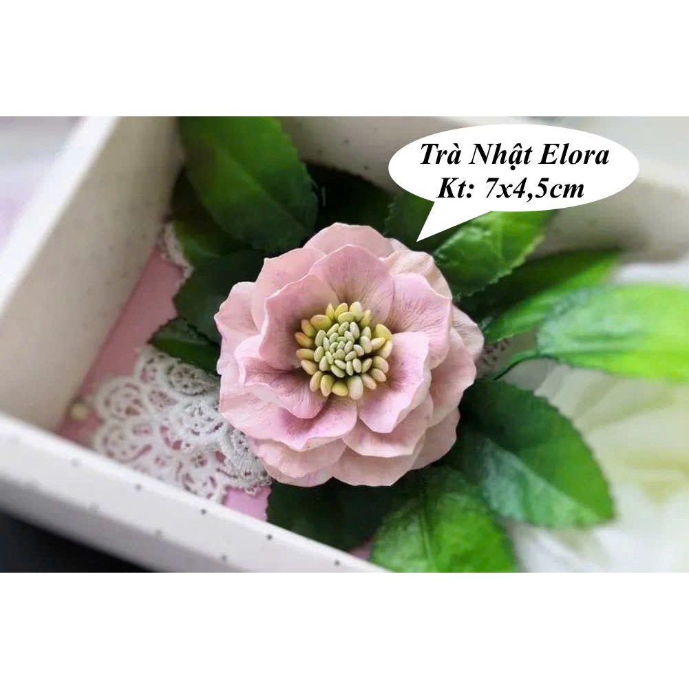 Elora แม่พิมพ์ซิลิโคนคาเมลเลียญี่ปุ่น