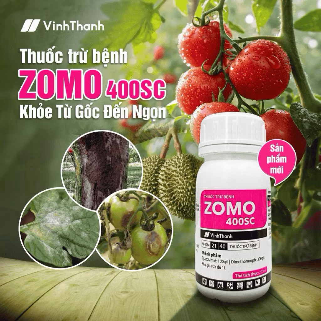 ยาฆ่าเชื้อรา Zomo 400sc Vinh Thanh - ทรีทเม้นต์พิเศษสําหรับ Phytophthora